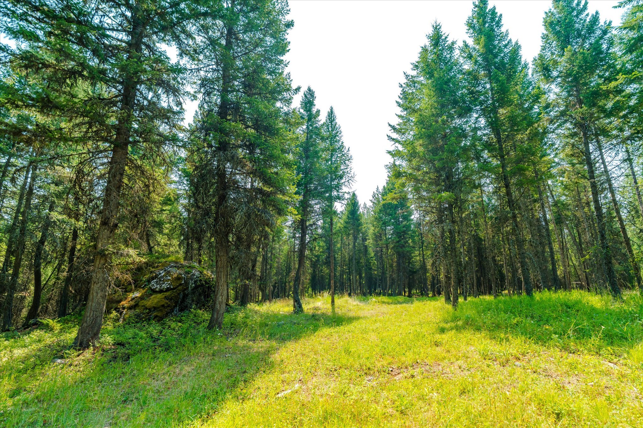 1199 E Mountain Meadows Road Property Photo 53