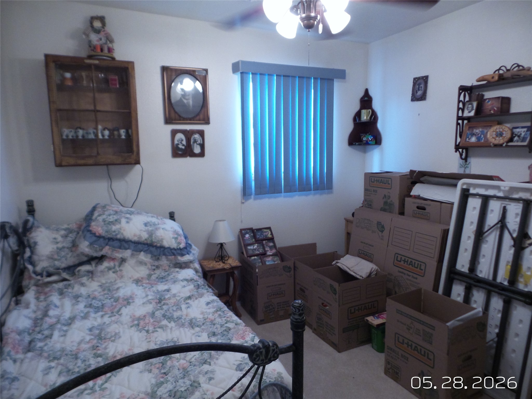 5 Millard Street N Property Photo 16