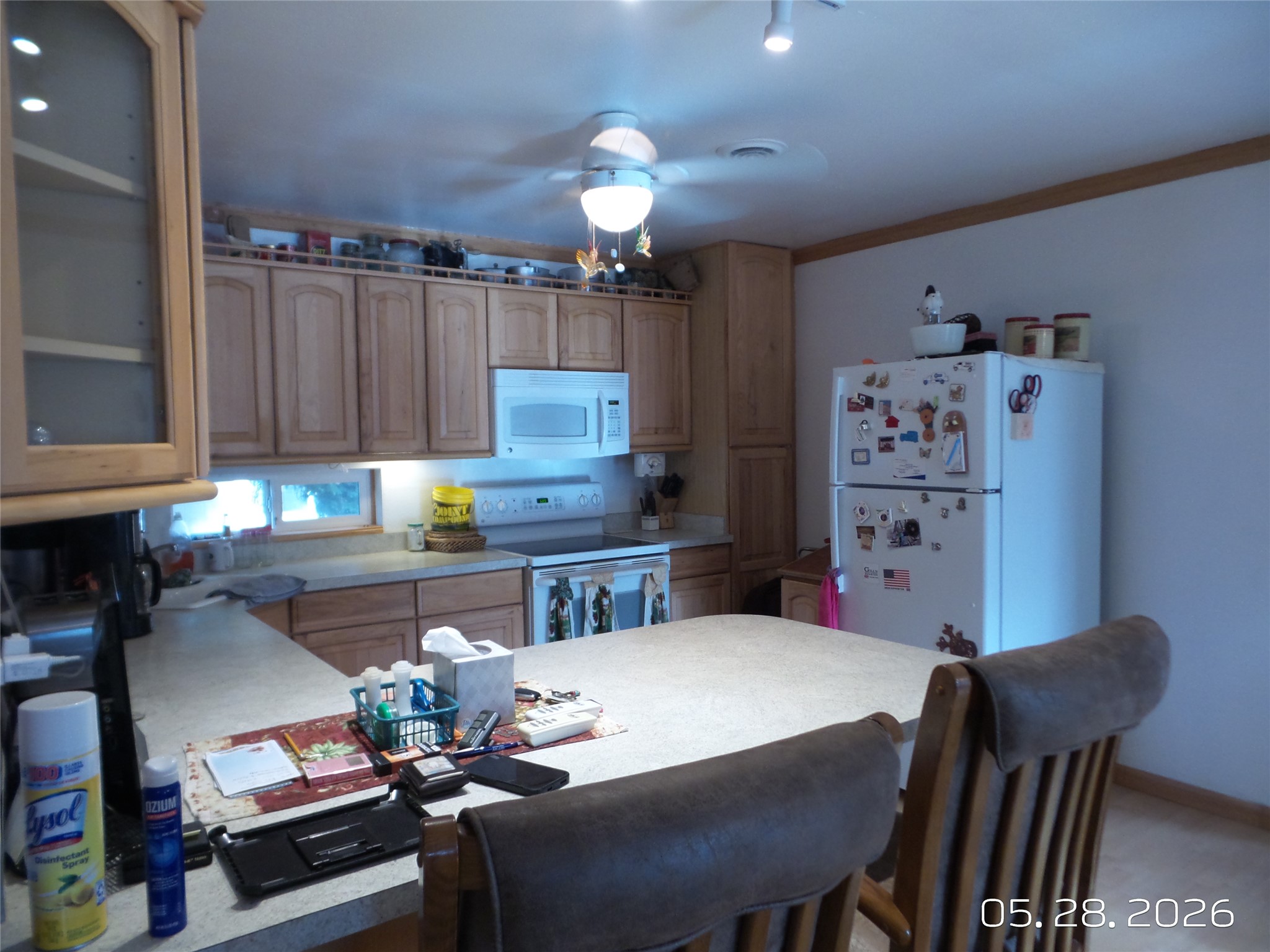 5 Millard Street N Property Photo 19