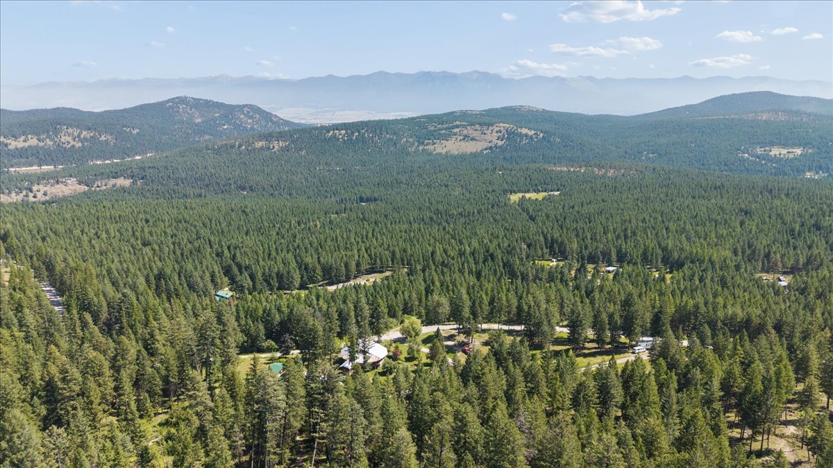 2092 Gut Creek Road Property Photo 19