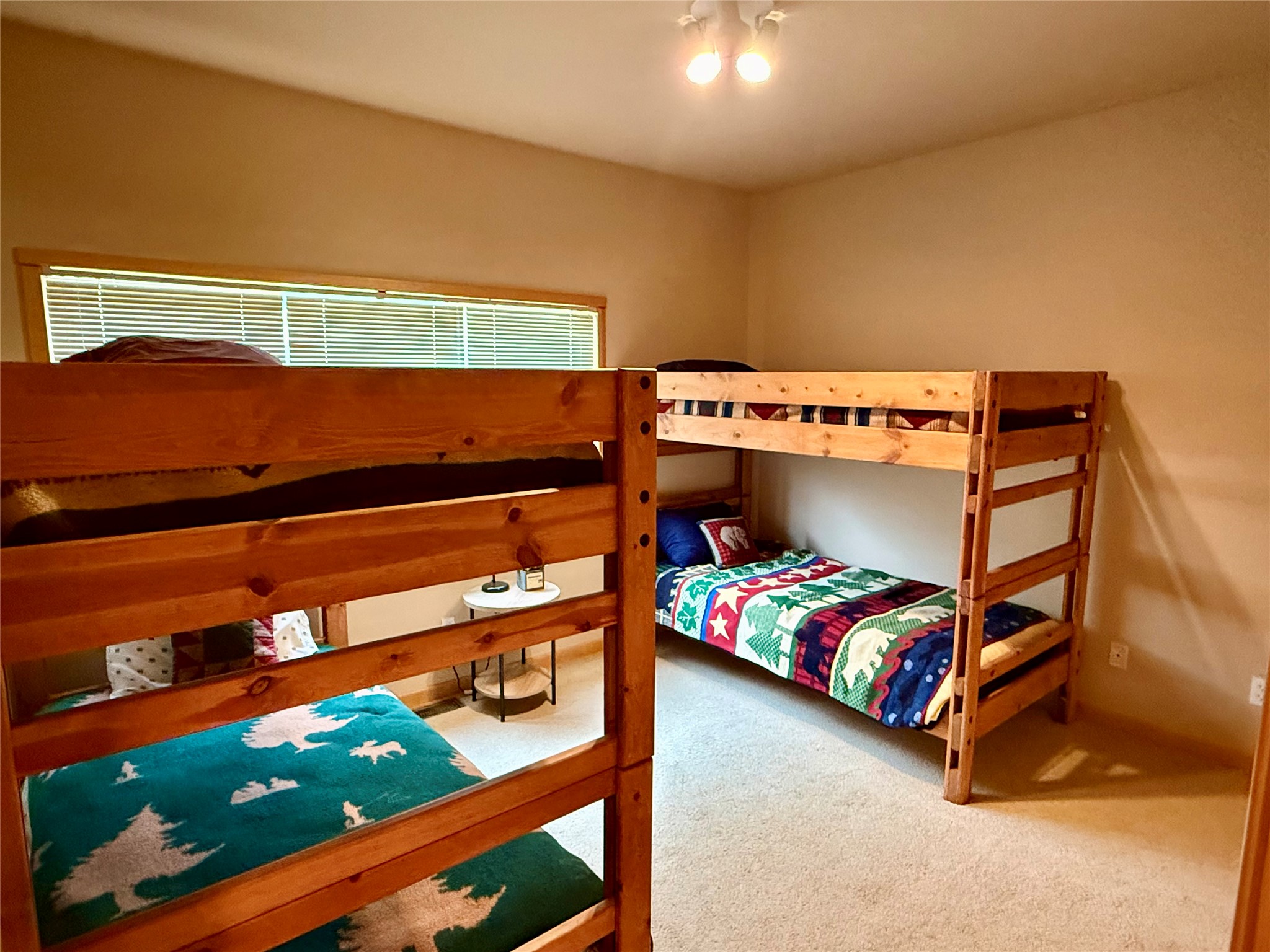 115 Colter Loop Property Photo 11