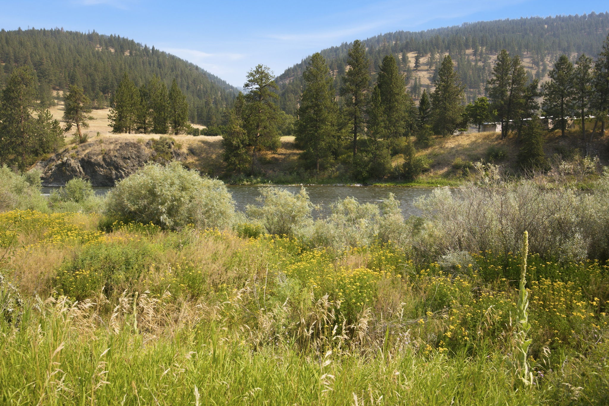 1164 Bandmann Trail Property Photo 28