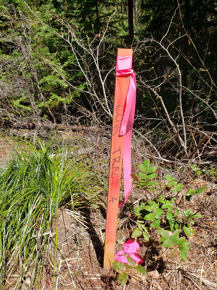 Tract 4 Nine Mile Road Property Photo 5