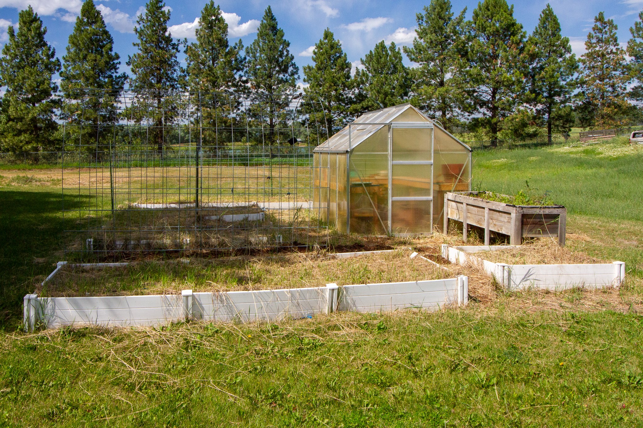 220 Gunsite Loop Property Photo 19