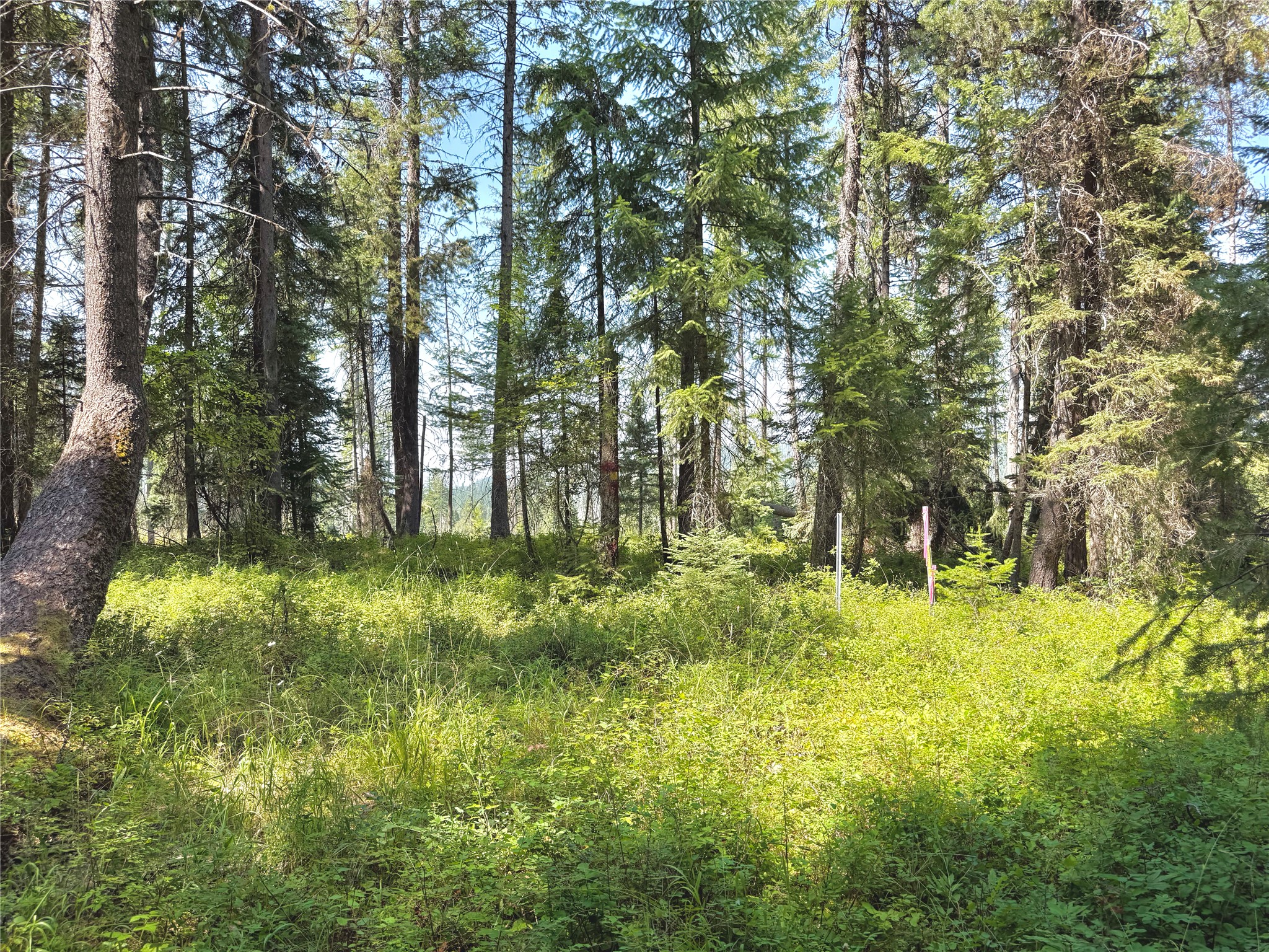 825 South Fork Road Property Photo 1