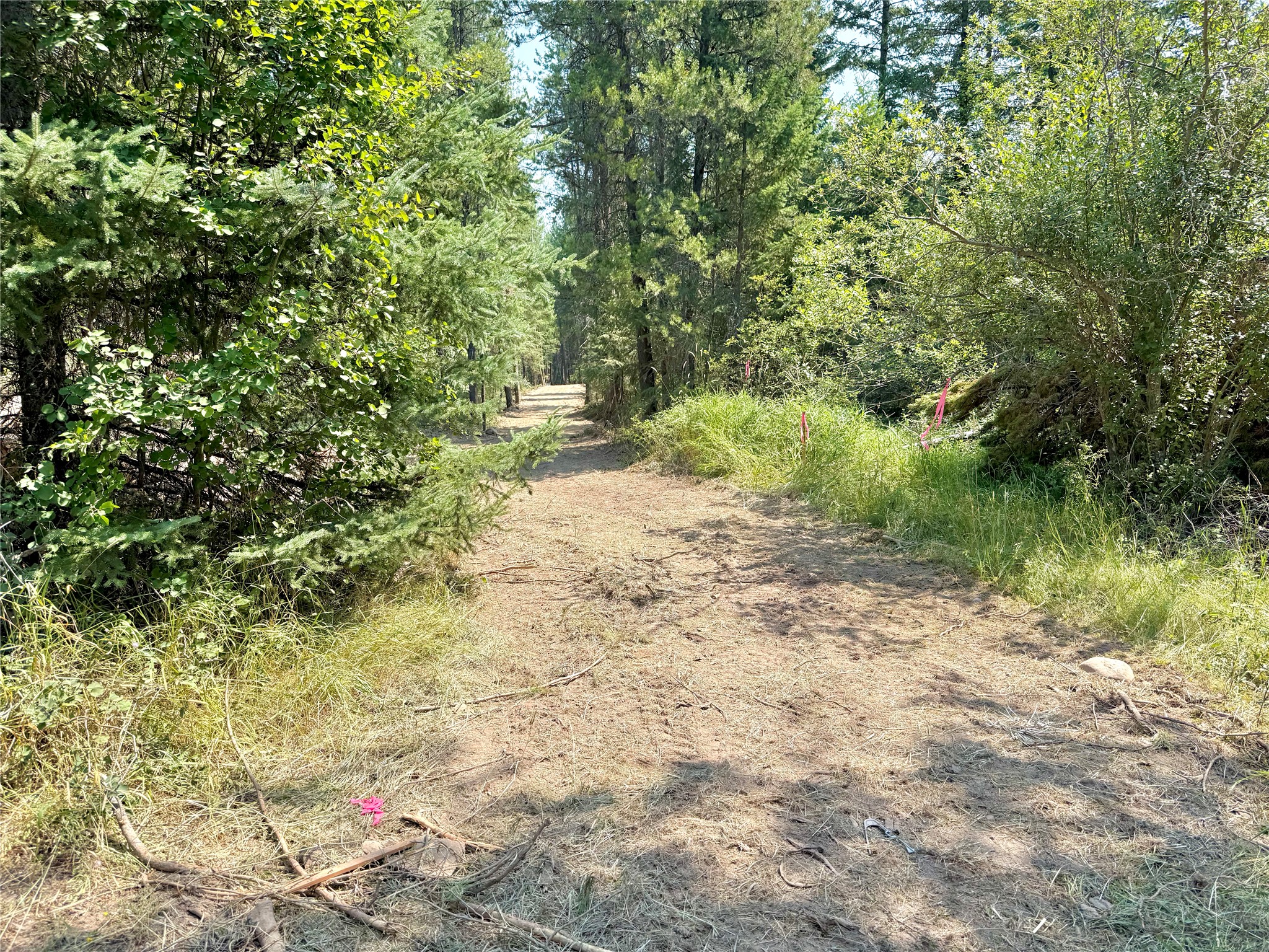 825 South Fork Road Property Photo 3