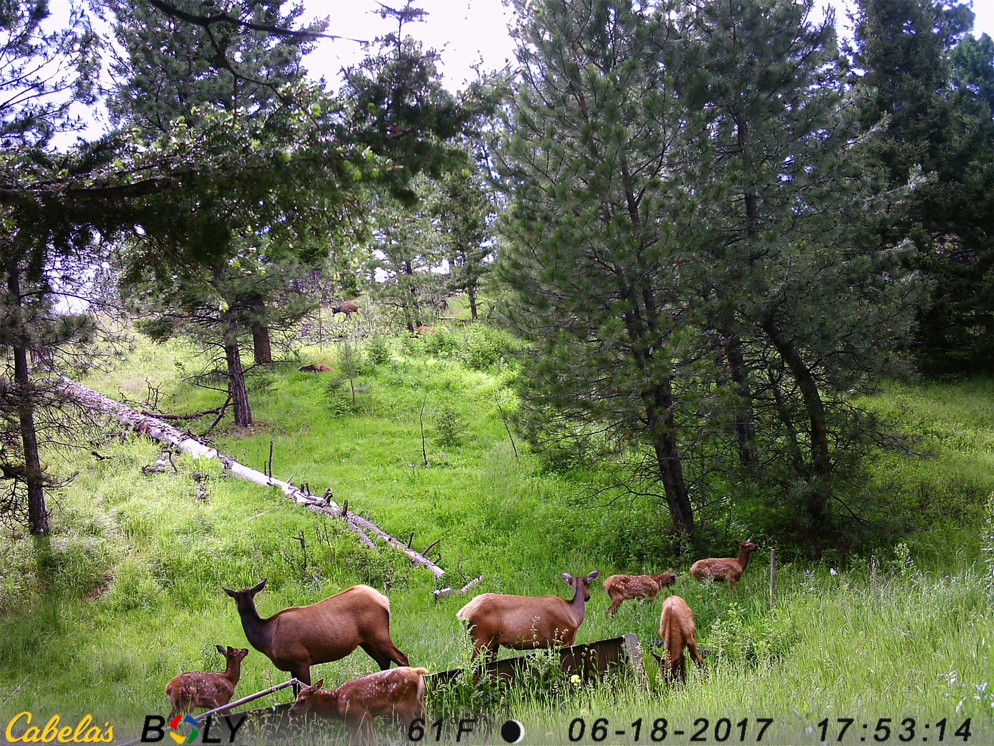 235 Shady Lane Property Photo 101