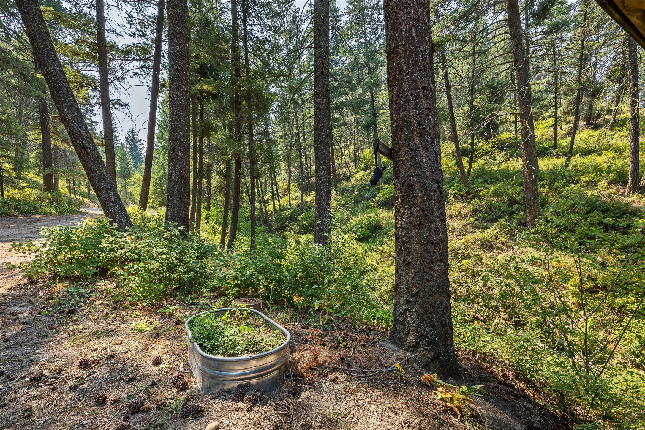 13245 Balsamroot Road Property Photo 29