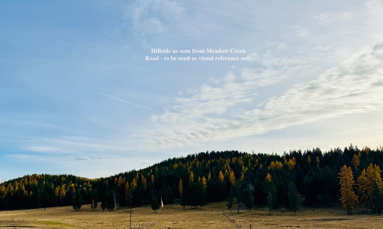 Nhn Meadow Creek Road Property Photo 15