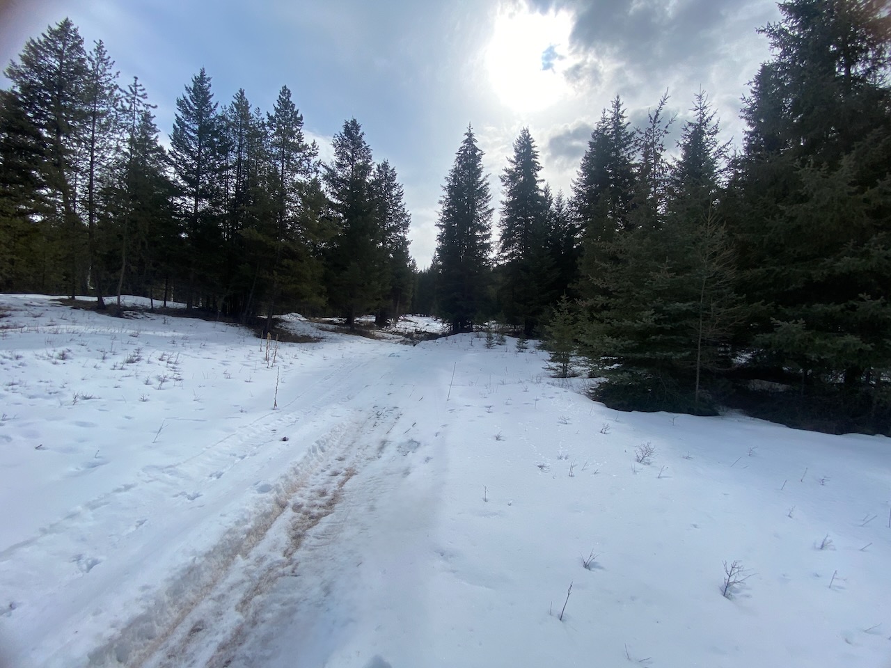 Nhn Meadow Creek Road Property Photo 25