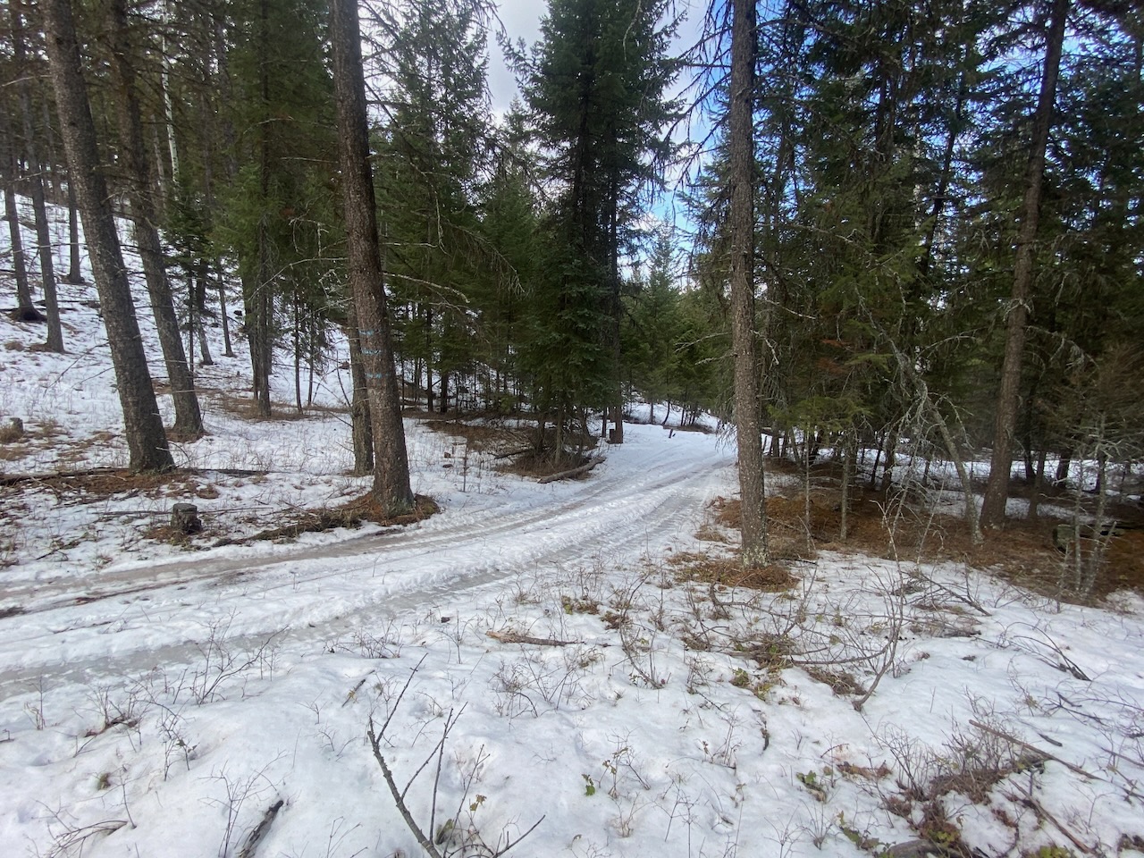 Nhn Meadow Creek Road Property Photo 33