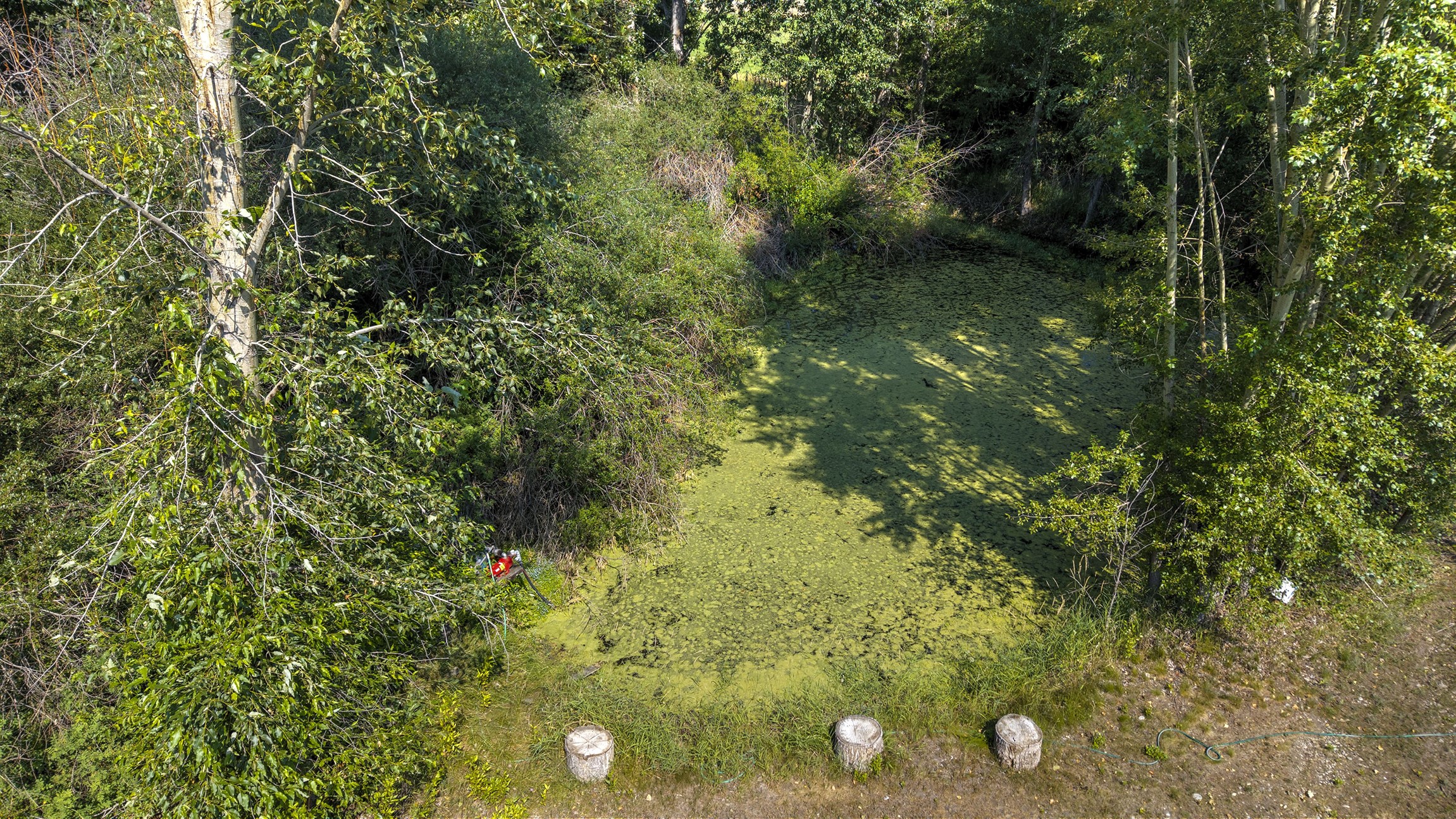 3131 Us Highway 93 Property Photo 12