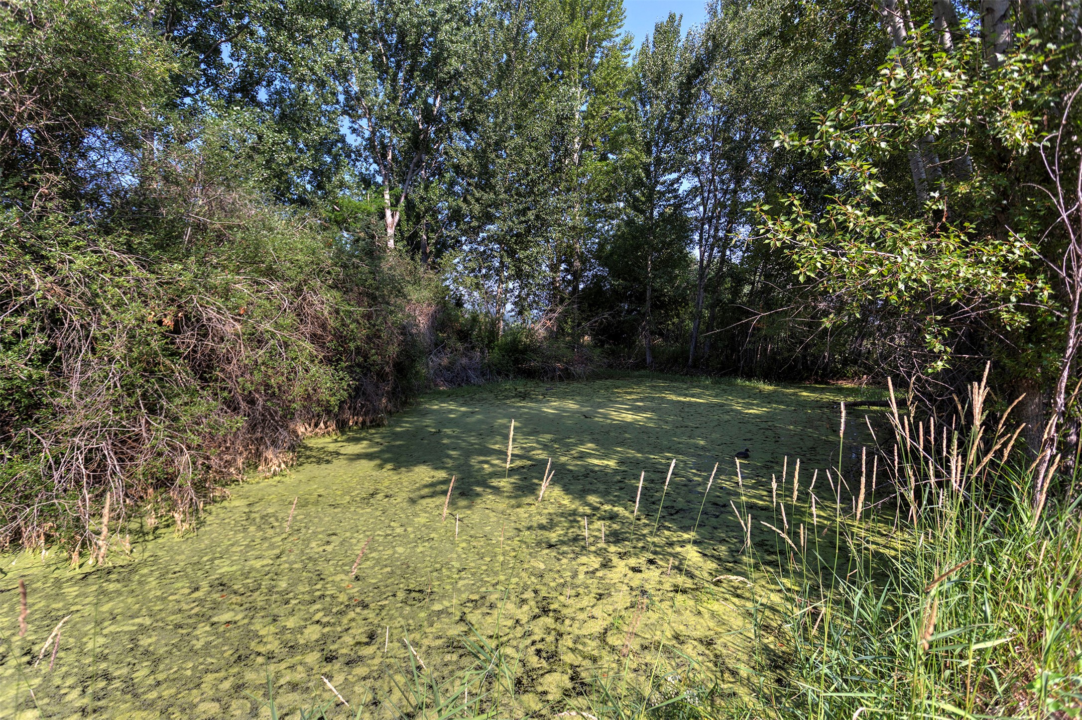 3131 Us Highway 93 Property Photo 44