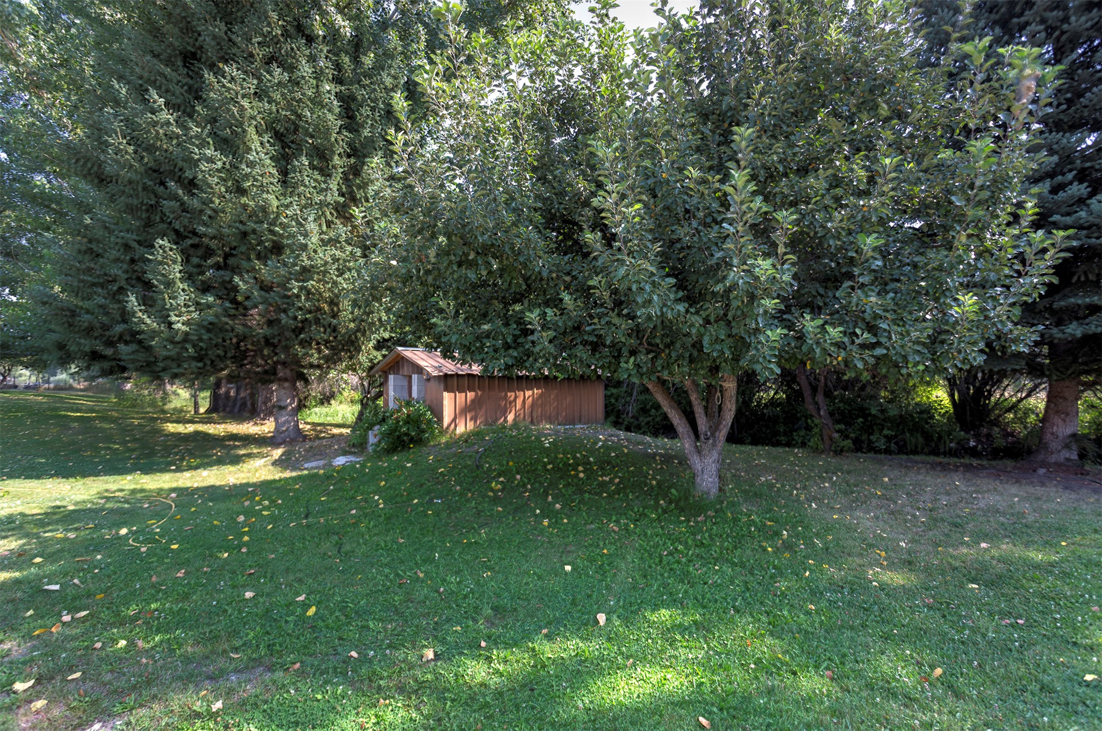 3131 Us Highway 93 Property Photo 49