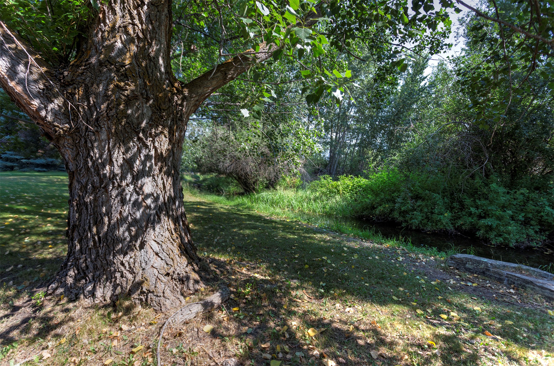 3131 Us Highway 93 Property Photo 52