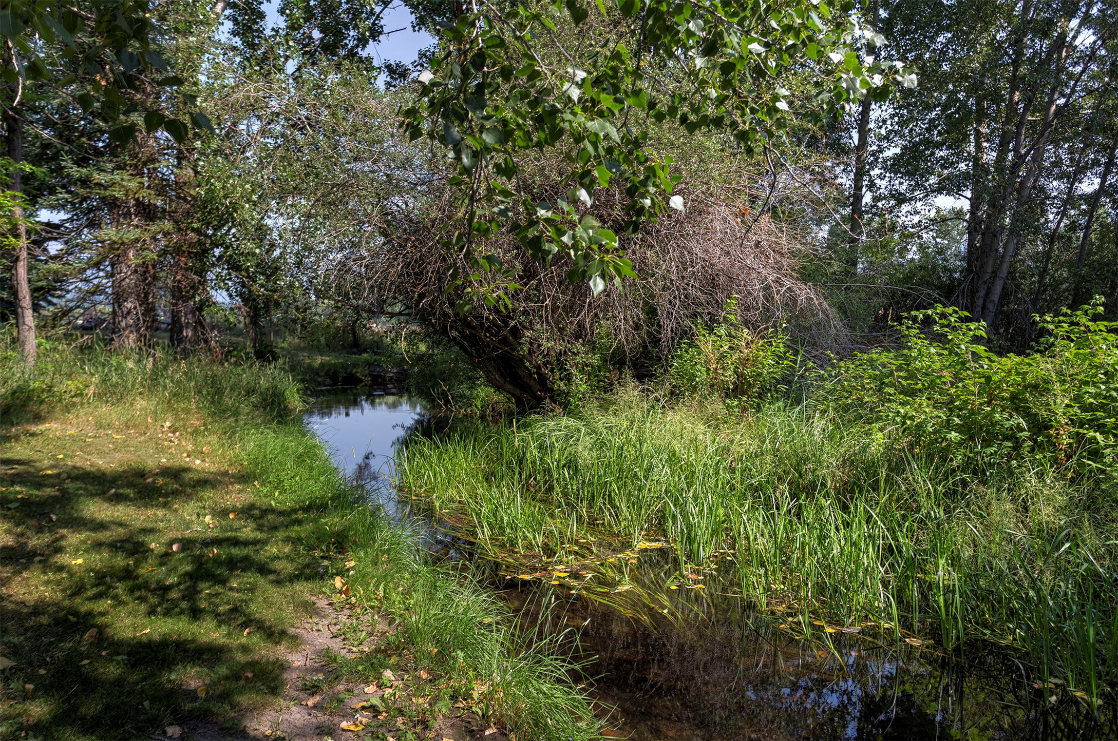 3131 Us Highway 93 Property Photo 53