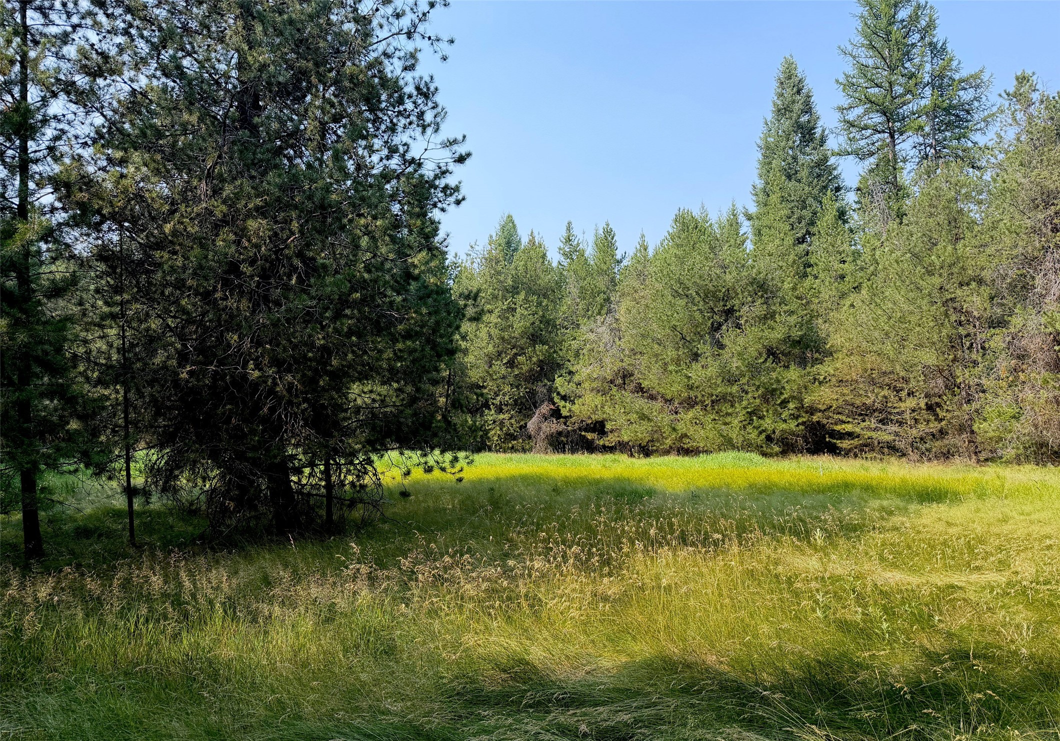 950 Lodgepole Drive