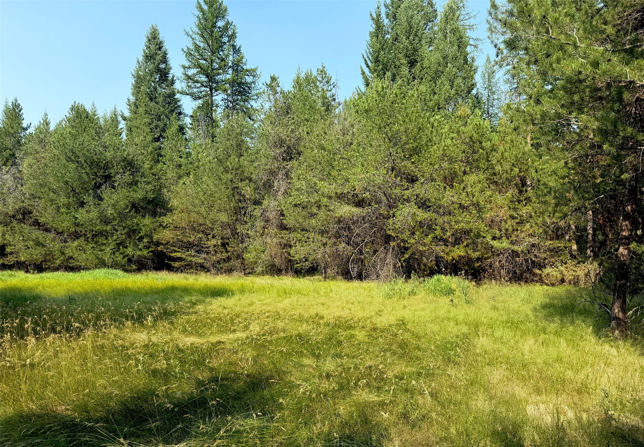 950 Lodgepole Drive Property Photo 3