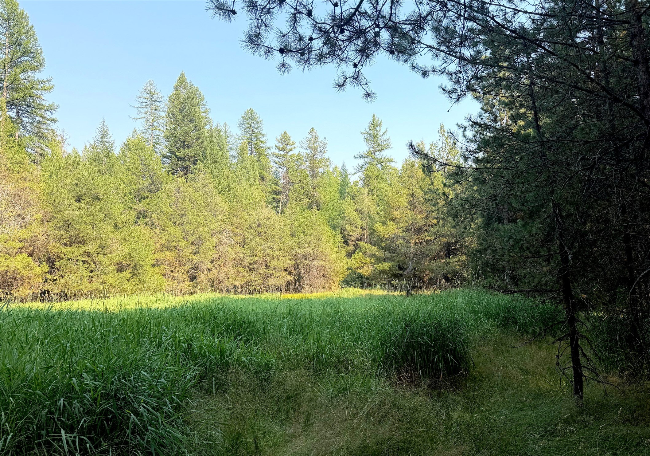 950 Lodgepole Drive Property Photo 10