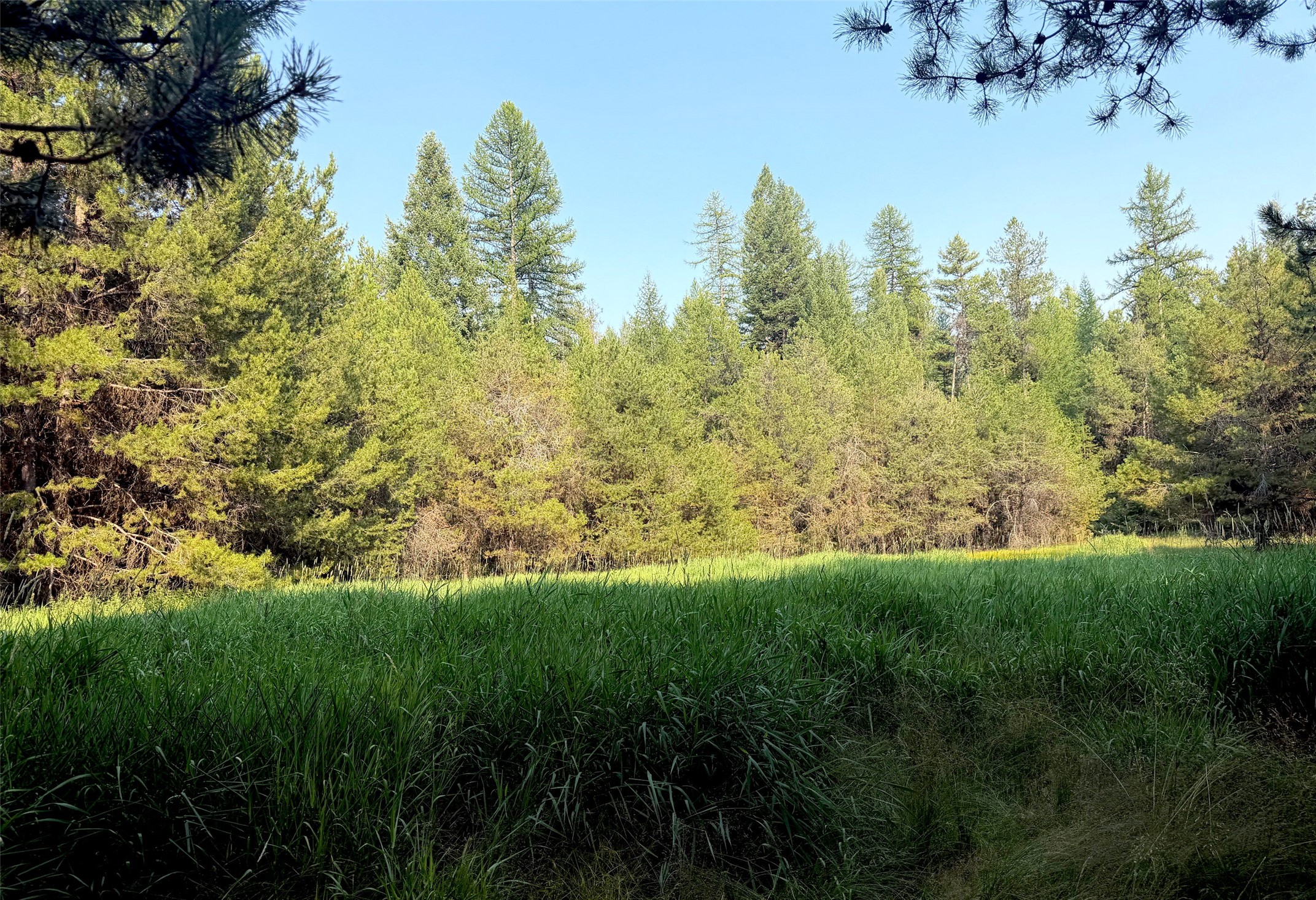 950 Lodgepole Drive Property Photo 11