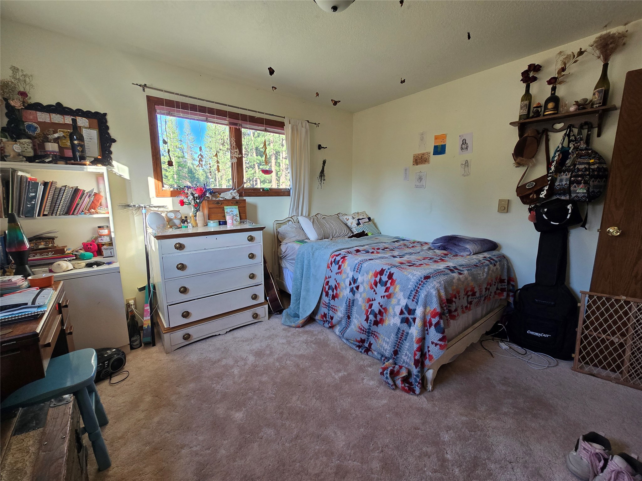 164 Snowflake Lane Property Photo 16