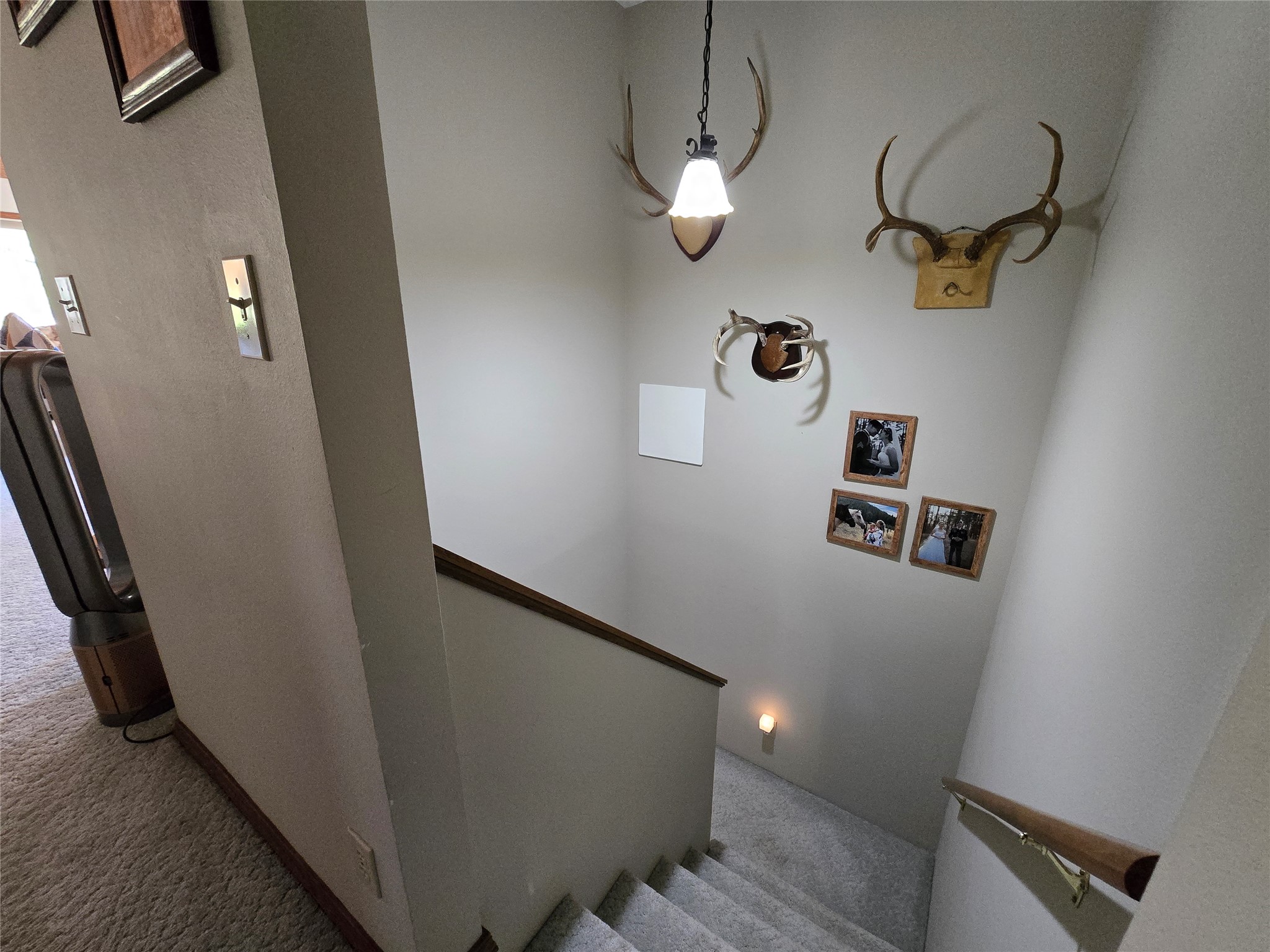 164 Snowflake Lane Property Photo 18