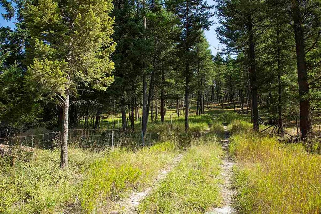1243 Kienas Road Property Photo 3