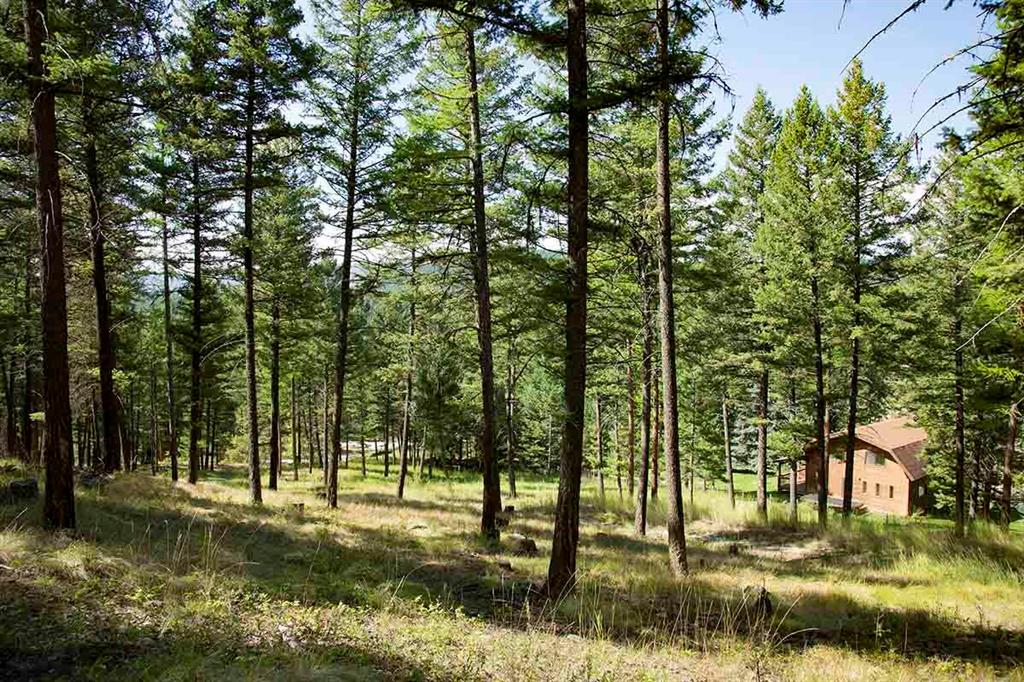 1243 Kienas Road Property Photo 4