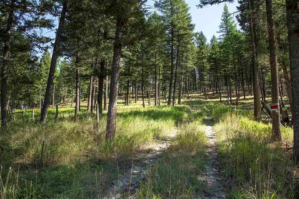 1243 Kienas Road Property Photo 5