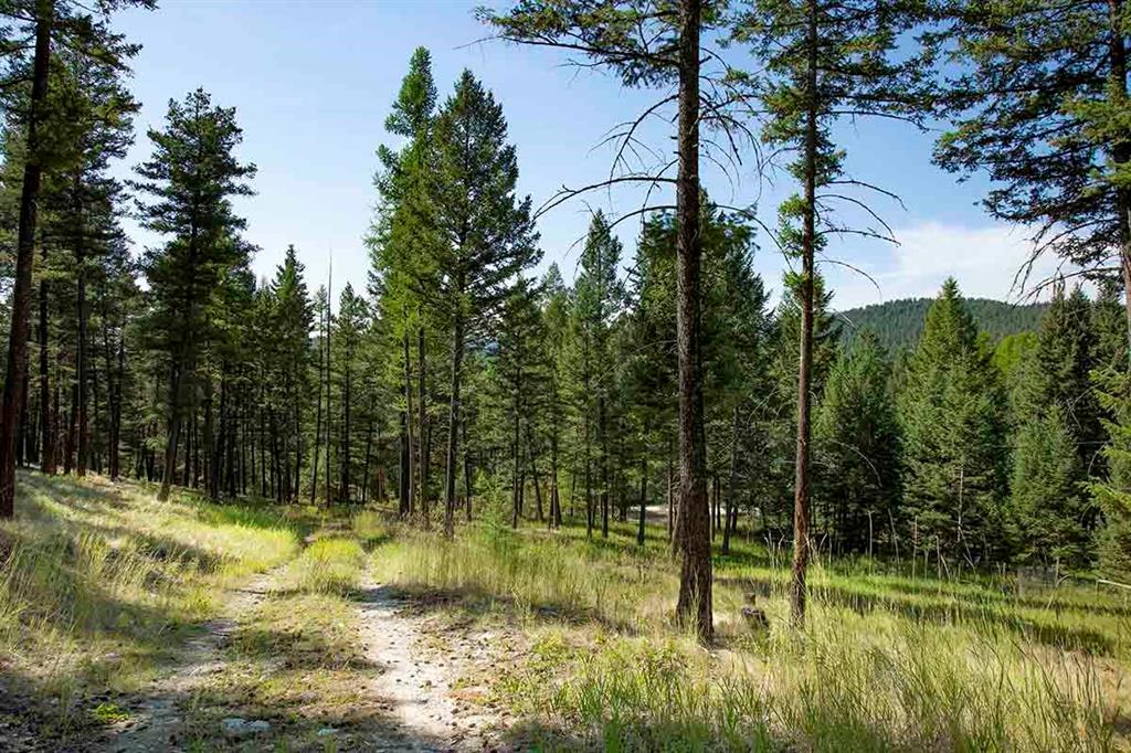 1243 Kienas Road Property Photo 6