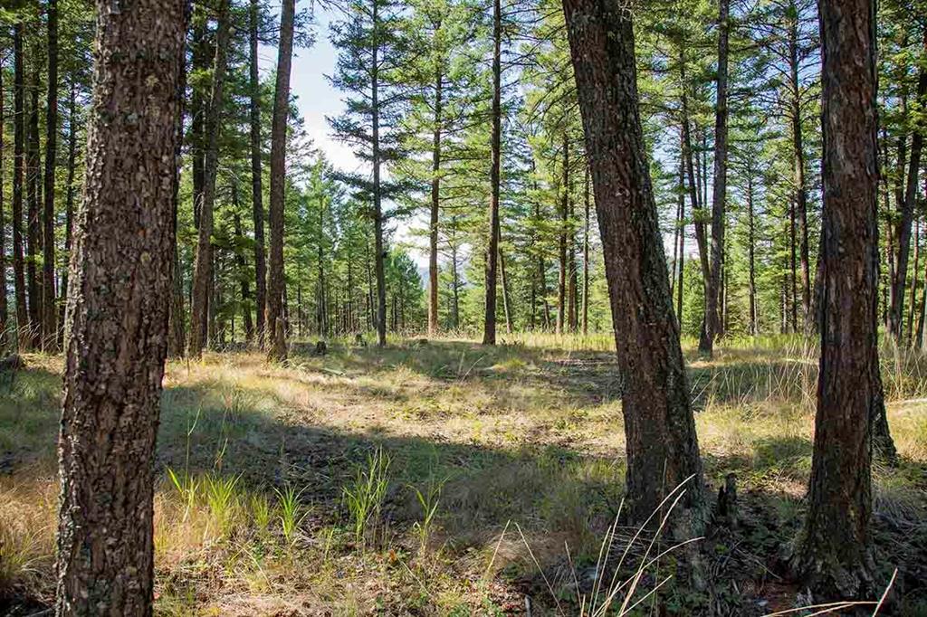 1243 Kienas Road Property Photo 7