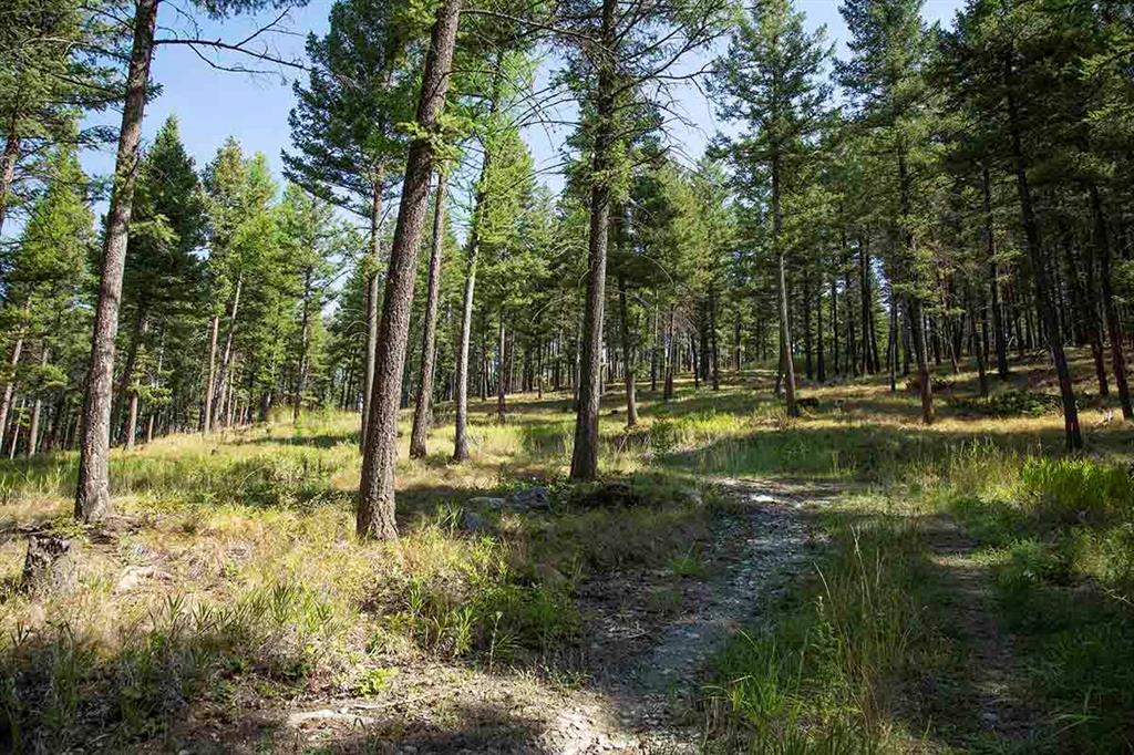 1243 Kienas Road Property Photo 8