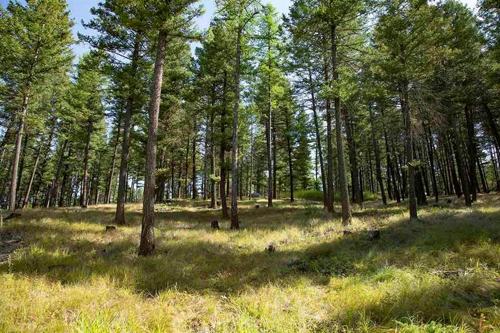 1243 Kienas Road Property Photo 9