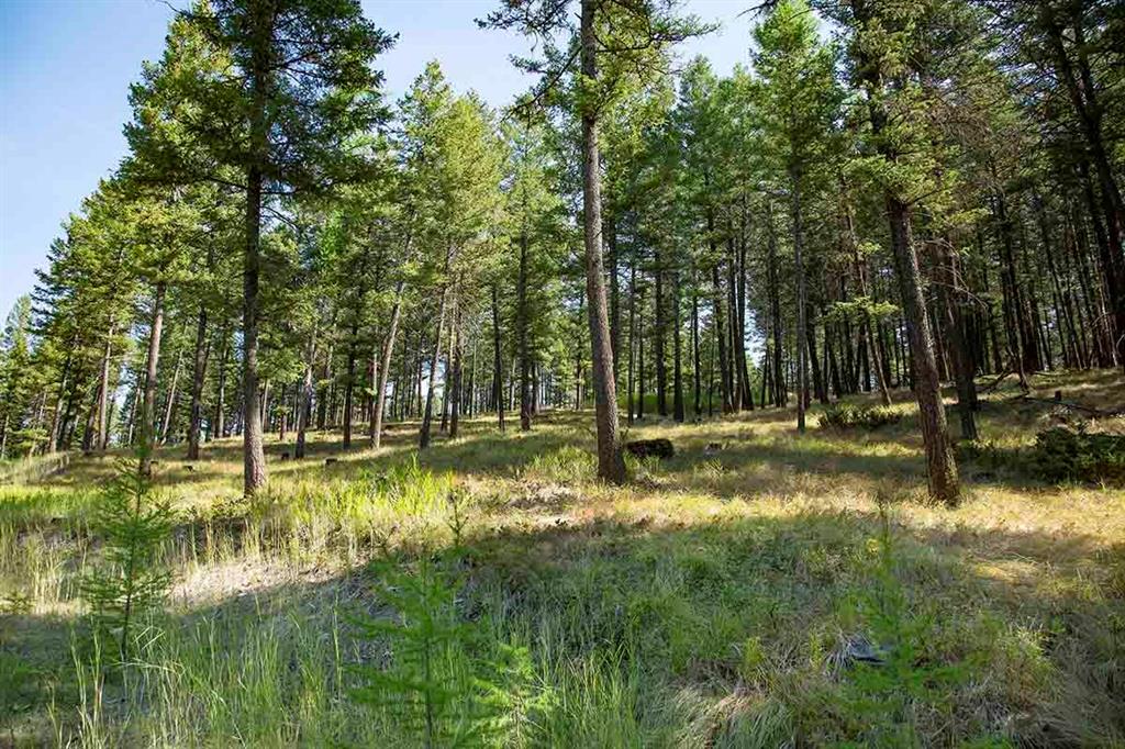 1243 Kienas Road Property Photo 10