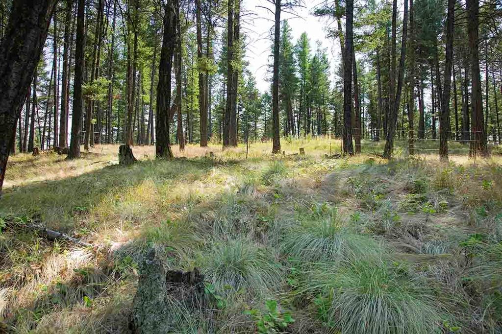 1243 Kienas Road Property Photo 11