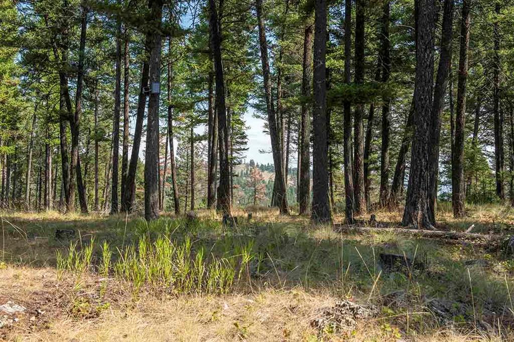 1243 Kienas Road Property Photo 13