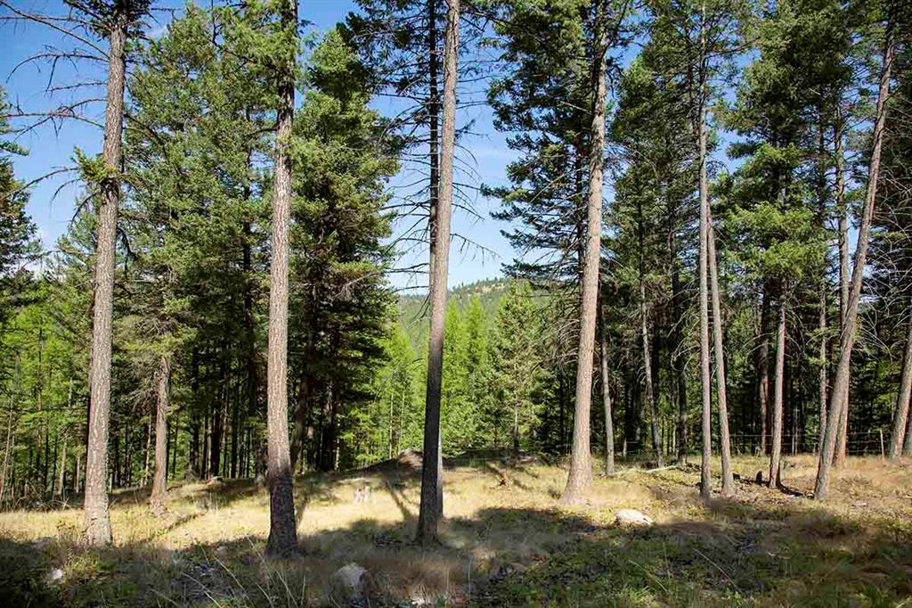 1243 Kienas Road Property Photo 15