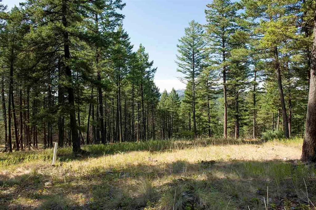 1243 Kienas Road Property Photo 16