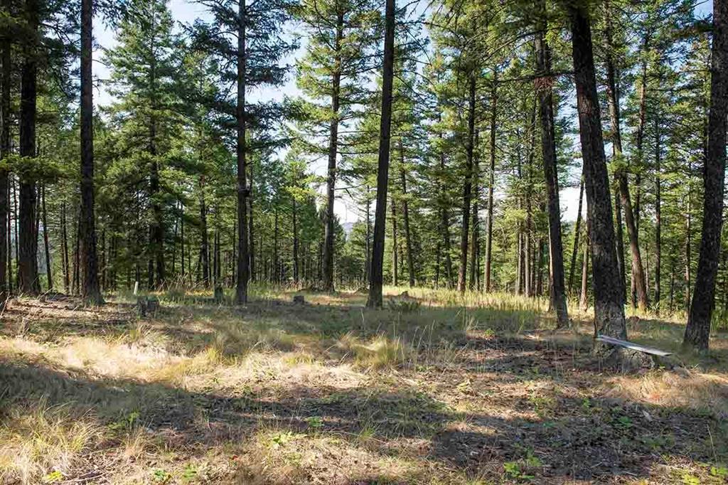 1243 Kienas Road Property Photo 17