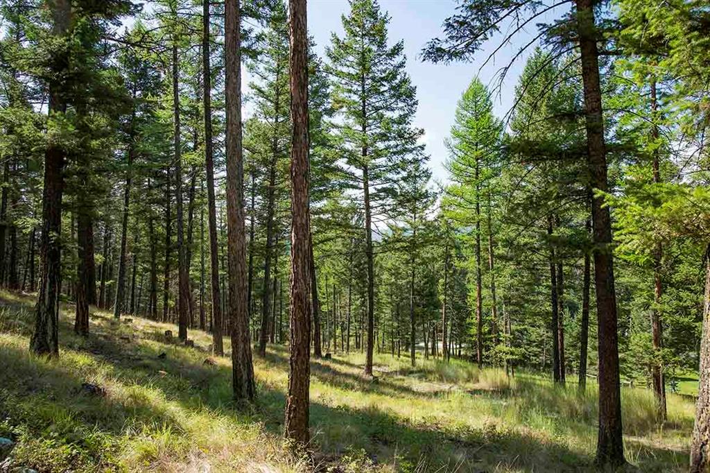 1243 Kienas Road Property Photo 18