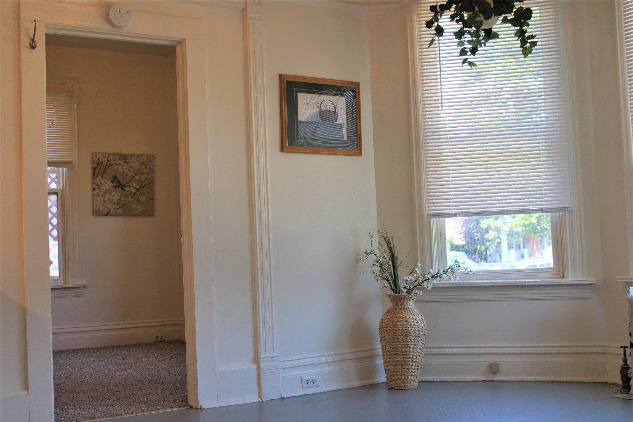 319 E Spruce Street Property Photo 3