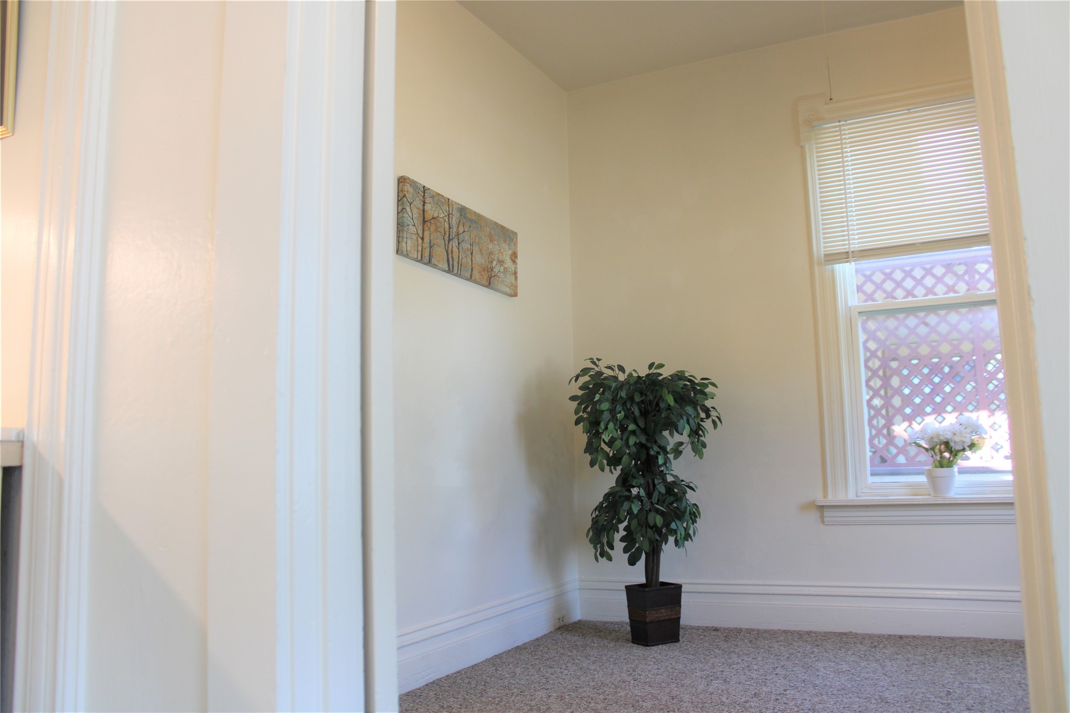 319 E Spruce Street Property Photo 6