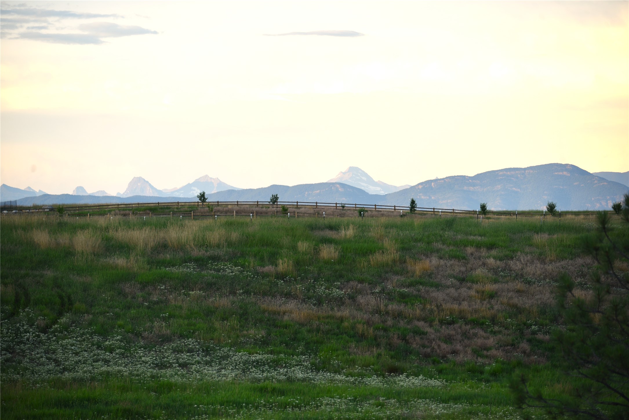 245 Shepherd Trail Property Photo 8