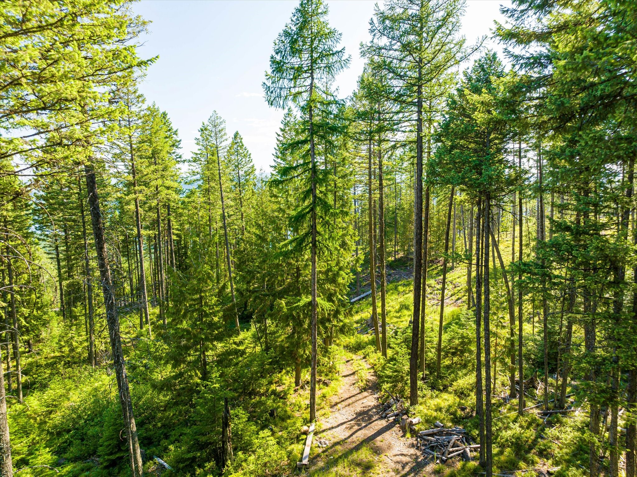 Nhn Big Mountain Road Property Photo 11