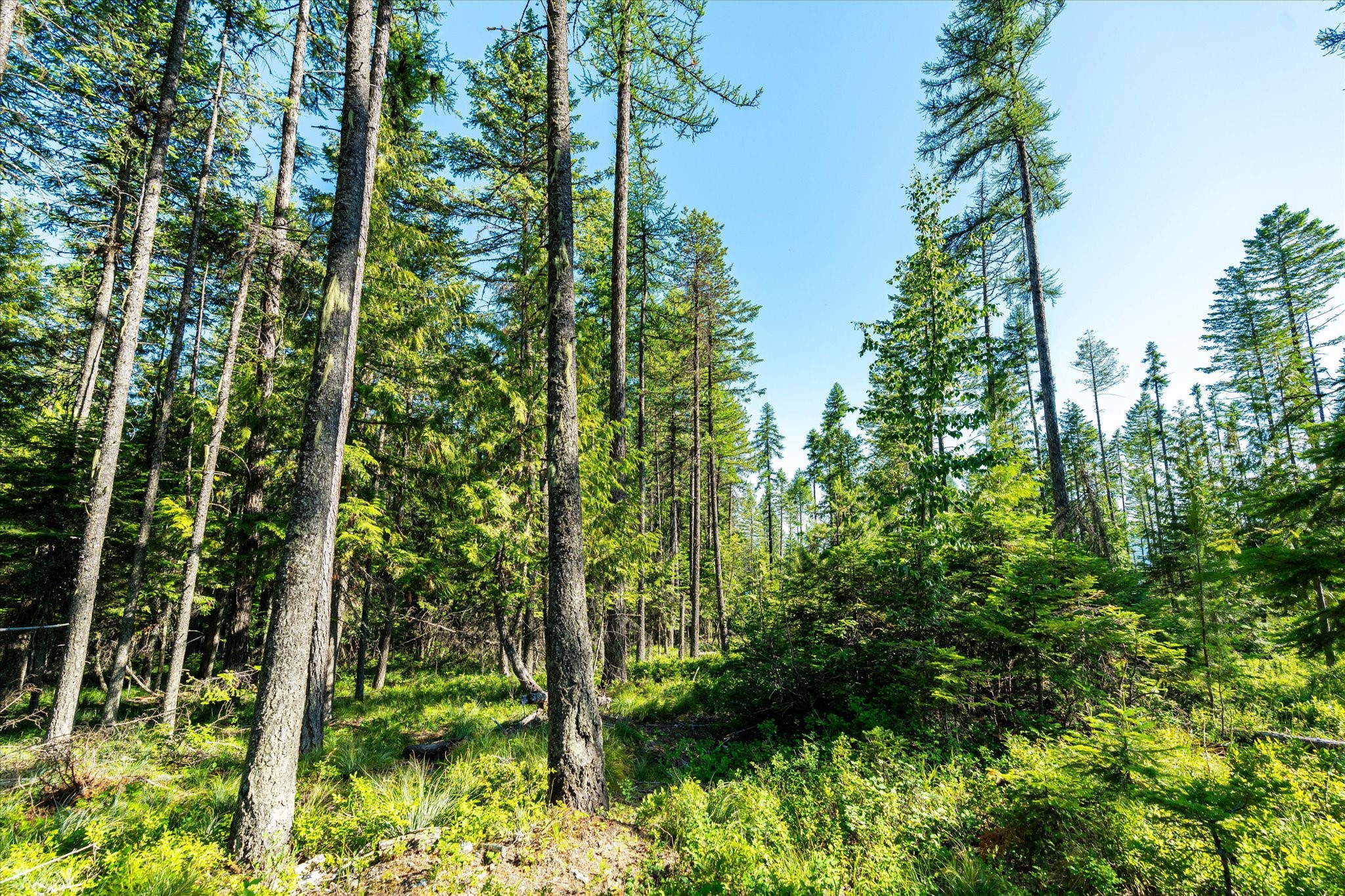 Nhn Big Mountain Road Property Photo 12