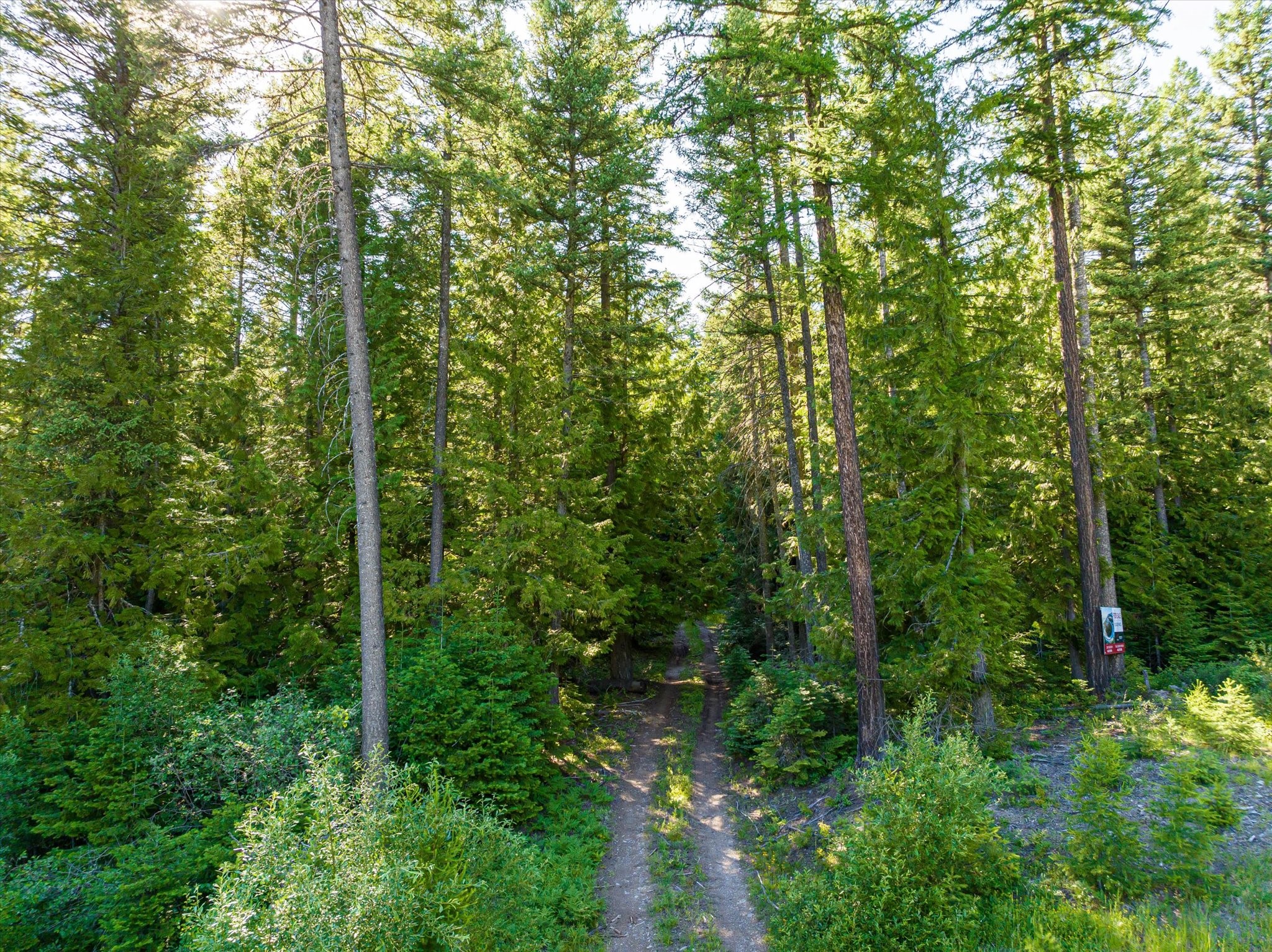 Nhn Big Mountain Road Property Photo 14