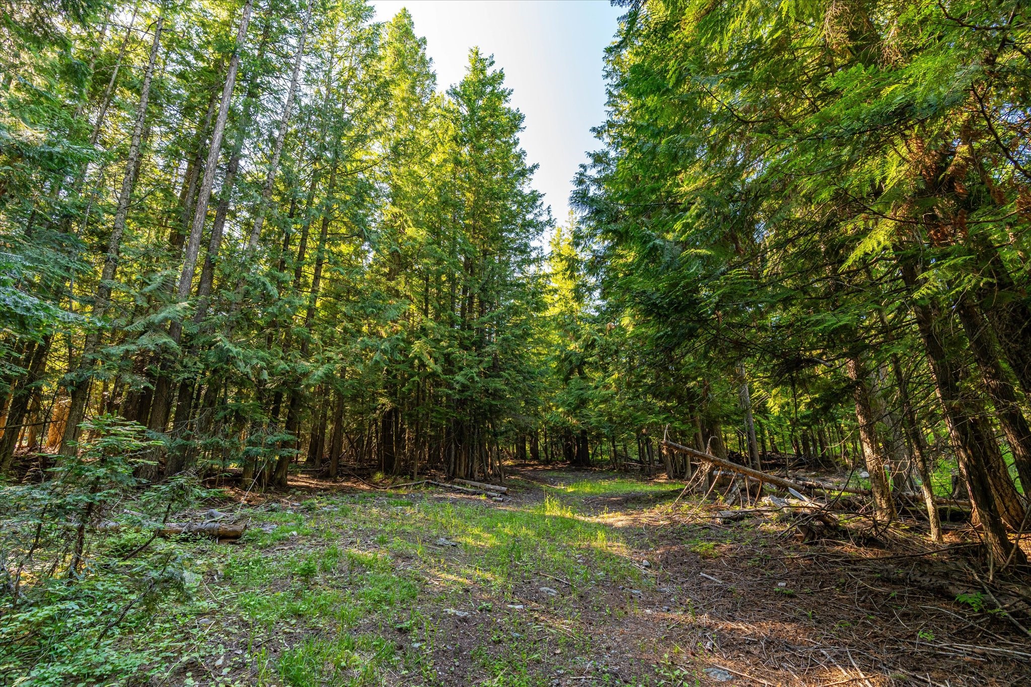 Nhn Big Mountain Road Property Photo 15