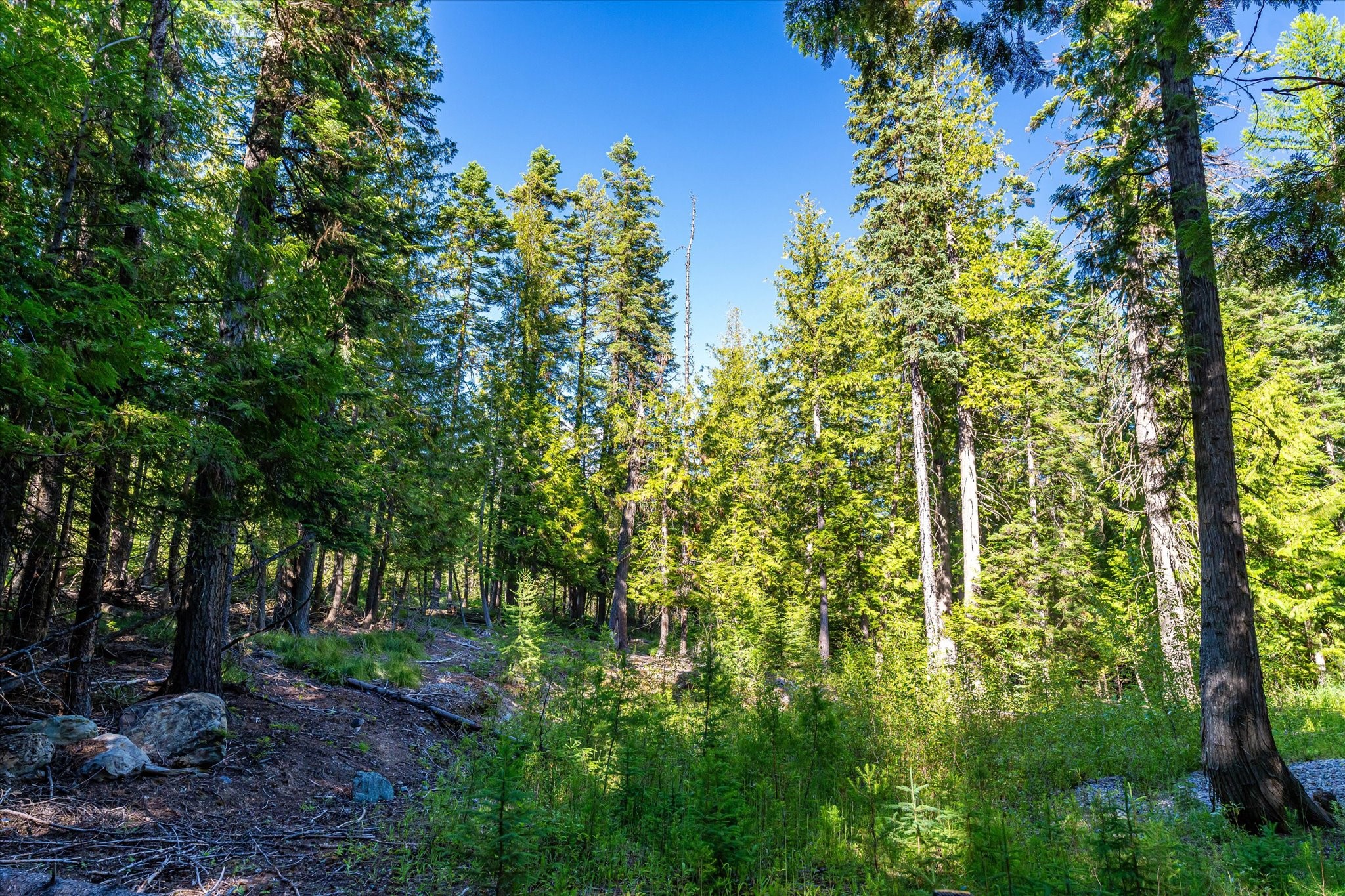 Nhn Big Mountain Road Property Photo 16