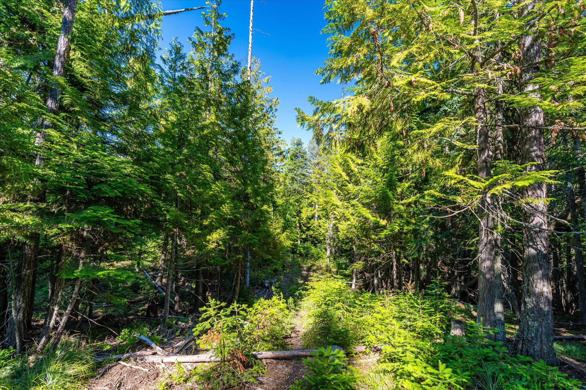Nhn Big Mountain Road Property Photo 17