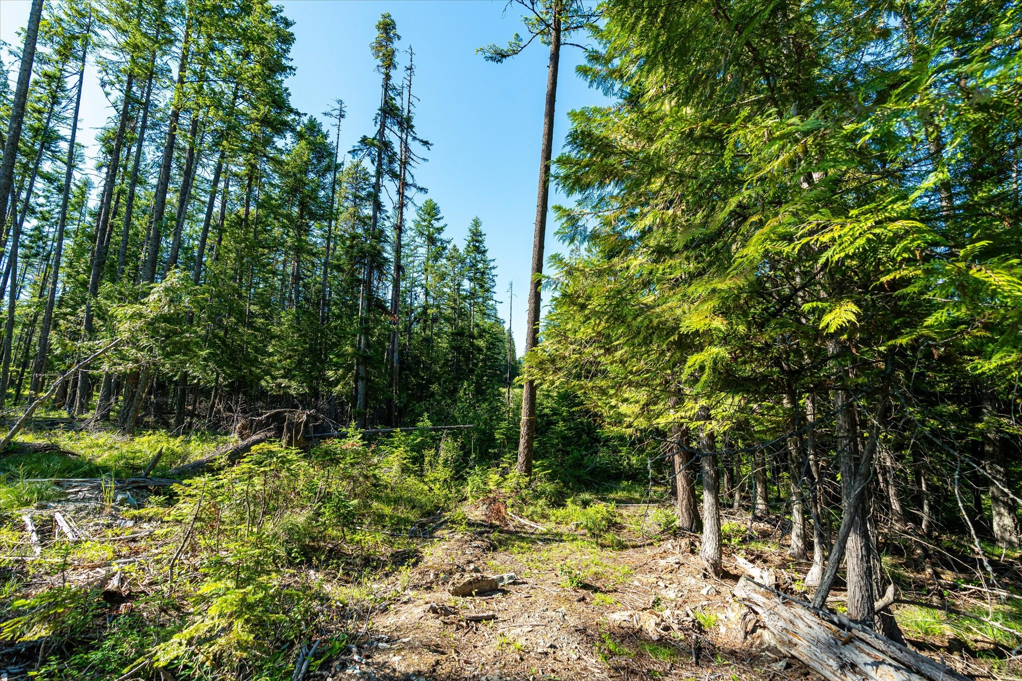 Nhn Big Mountain Road Property Photo 18